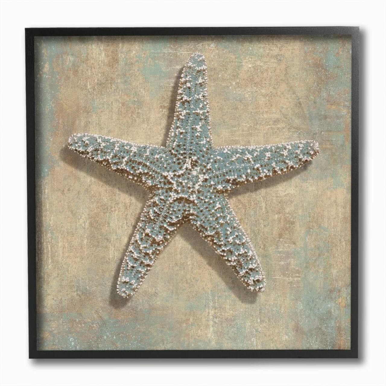 Stupell Industries Starfish Beach Objects Design Black Framed Wall Art